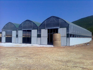 Animal food warehouse 1200μ2-Chalkidiki