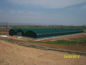 Snail farm 1250μ2- Thessaloniki