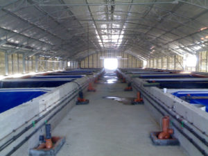 Construction of fish farm 1500μ2-Arta