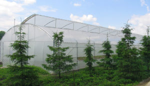 Greenhouse Roof Ventilation