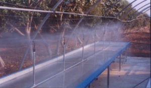 Bench foggers