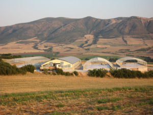 Poultry farm 5000m2 -Chalkidiki