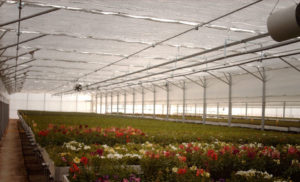 Greenhouse energy saving